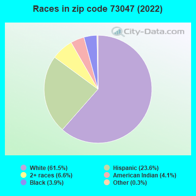 Races in zip code 73047 (2022)