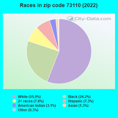 Races in zip code 73110 (2022)