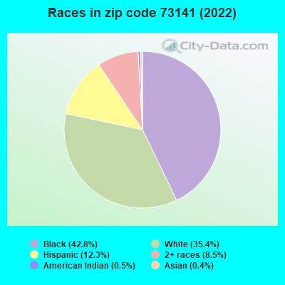 Races in zip code 73141 (2022)