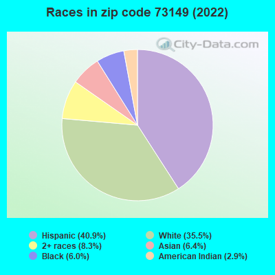 Races in zip code 73149 (2022)