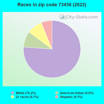 Races in zip code 73456 (2022)