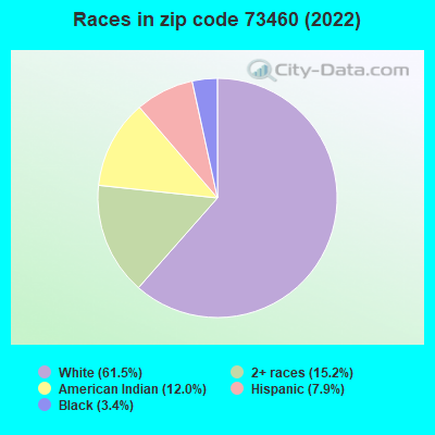 Races in zip code 73460 (2022)