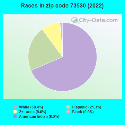 Races in zip code 73530 (2022)