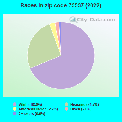 Races in zip code 73537 (2022)