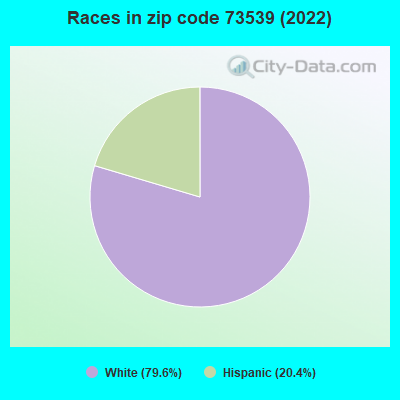 Races in zip code 73539 (2022)
