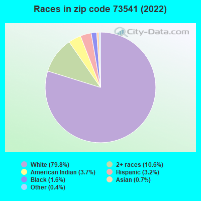 Races in zip code 73541 (2022)