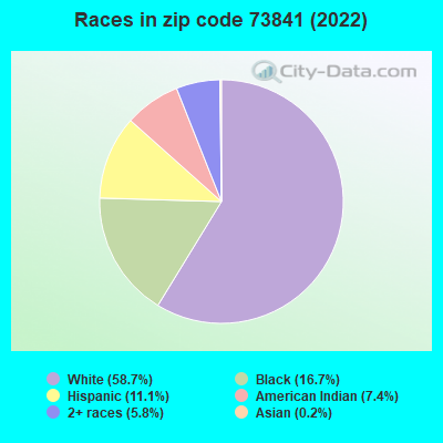 Races in zip code 73841 (2022)