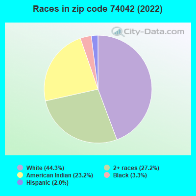 Races in zip code 74042 (2022)