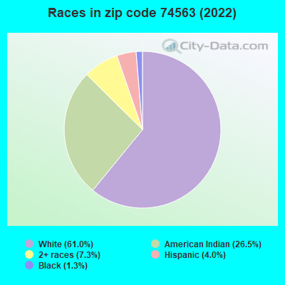 Races in zip code 74563 (2022)