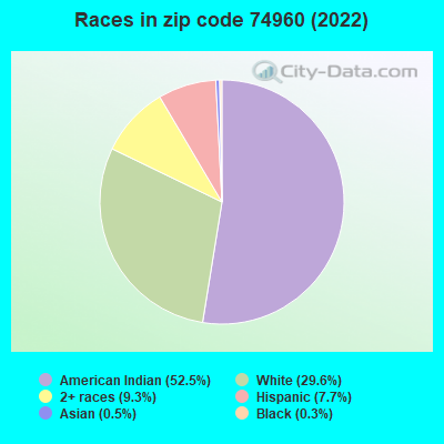 Races in zip code 74960 (2022)