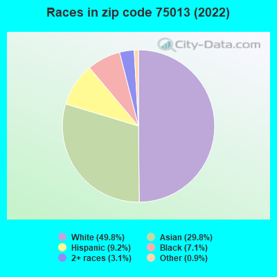 Races in zip code 75013 (2022)