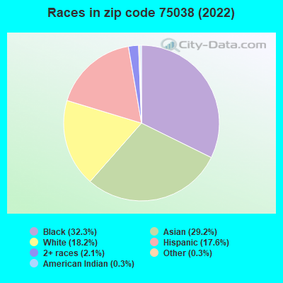 Races in zip code 75038 (2022)