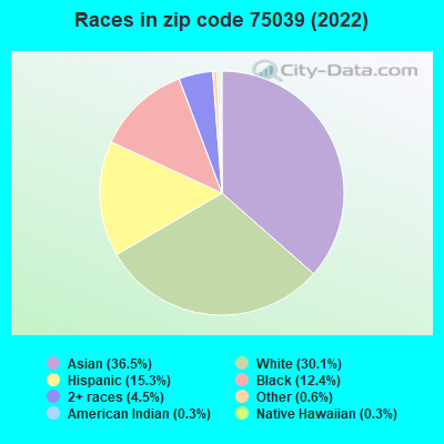 Races in zip code 75039 (2022)