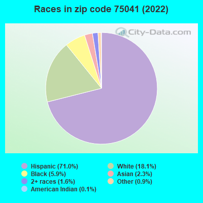 Races in zip code 75041 (2022)
