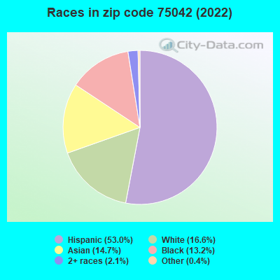 Races in zip code 75042 (2022)