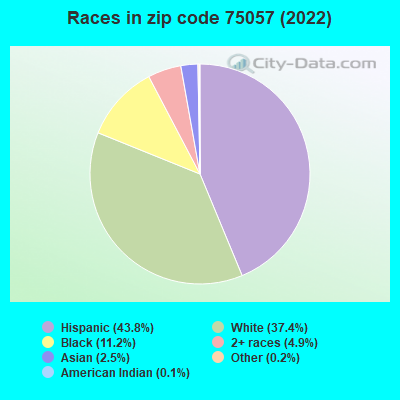 Races in zip code 75057 (2022)