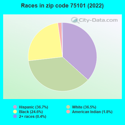 Races in zip code 75101 (2022)