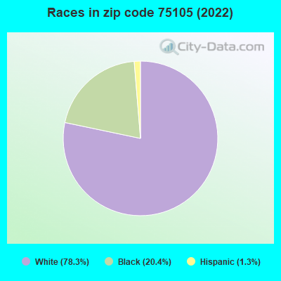 Races in zip code 75105 (2022)