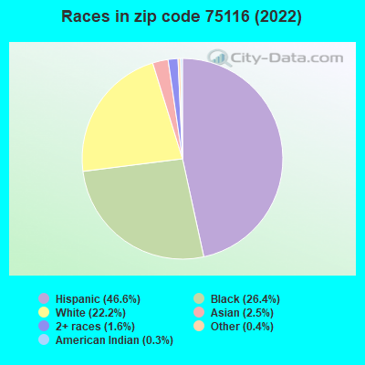 Races in zip code 75116 (2022)