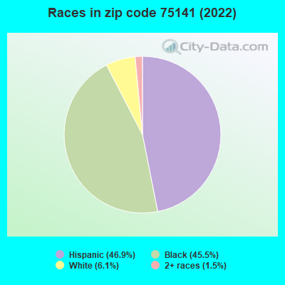Races in zip code 75141 (2022)