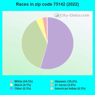 Races in zip code 75142 (2022)