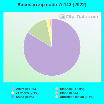 Races in zip code 75143 (2022)