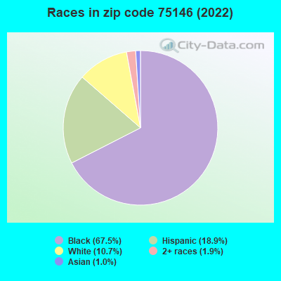Races in zip code 75146 (2022)