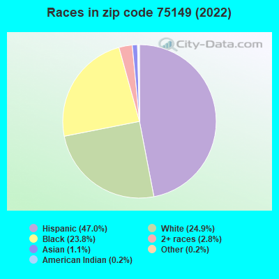 Races in zip code 75149 (2022)