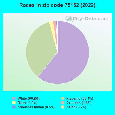 Races in zip code 75152 (2022)
