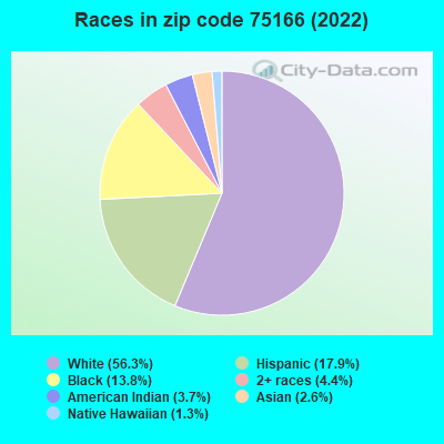 Races in zip code 75166 (2022)