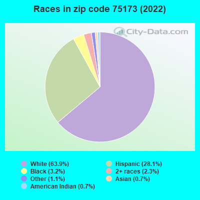 Races in zip code 75173 (2022)