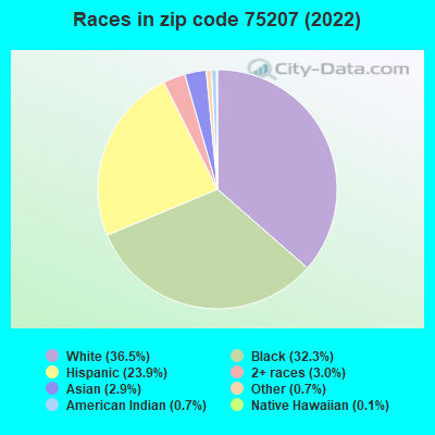 Races in zip code 75207 (2022)