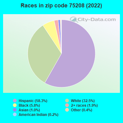 Races in zip code 75208 (2022)