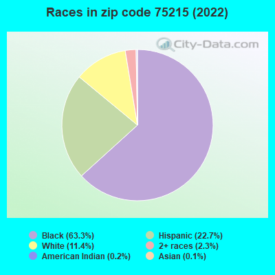 Races in zip code 75215 (2022)