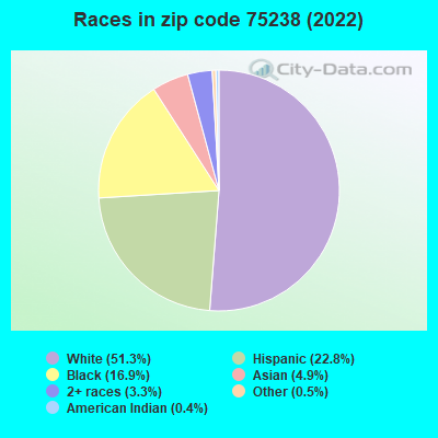 Races in zip code 75238 (2022)