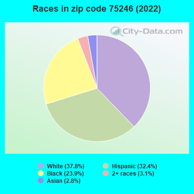 Races in zip code 75246 (2022)