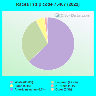 Races in zip code 75487 (2022)