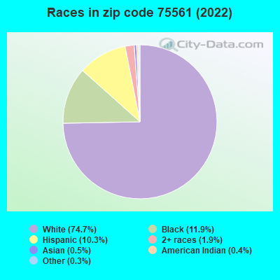 Races in zip code 75561 (2022)