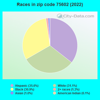 Races in zip code 75602 (2022)