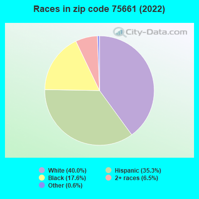 Races in zip code 75661 (2022)