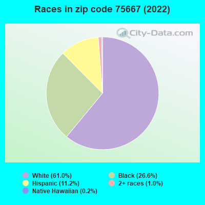 Races in zip code 75667 (2022)