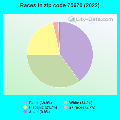 Races in zip code 75670 (2022)