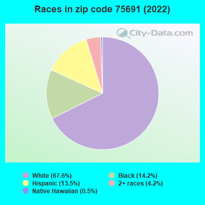 Races in zip code 75691 (2022)