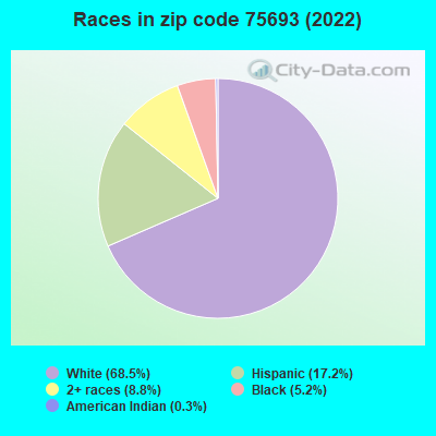 Races in zip code 75693 (2022)