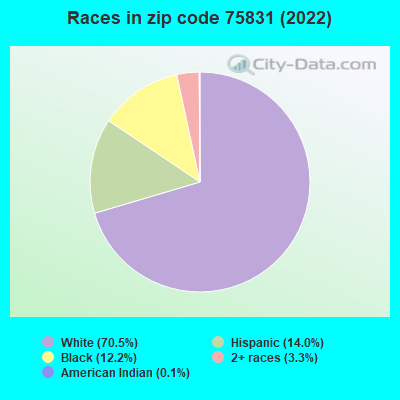 Races in zip code 75831 (2022)