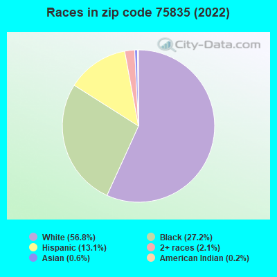 Races in zip code 75835 (2022)