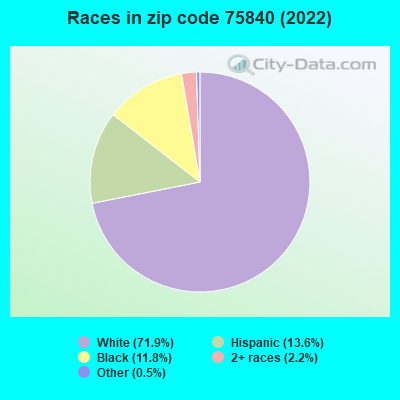 Races in zip code 75840 (2022)