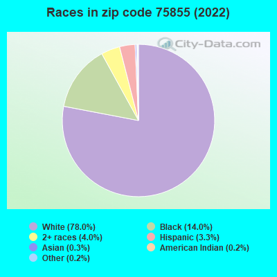 Races in zip code 75855 (2022)
