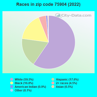 Races in zip code 75904 (2022)