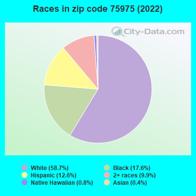 Races in zip code 75975 (2022)